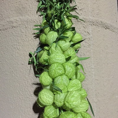 Greenery and Foliage-Cotton candy
