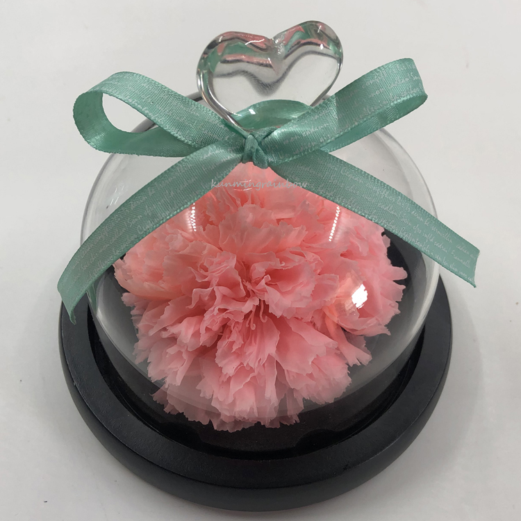 Preservced Carnation flowers-03