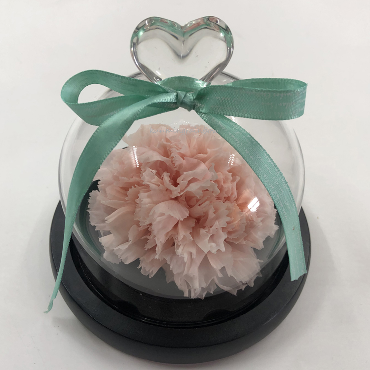 Preservced Carnation flowers-05