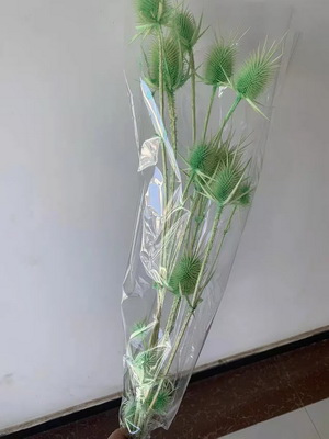 Preserved Small Teasel Flower-04