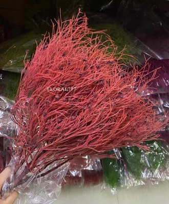 Preserved Dreamy Grass Flower-05