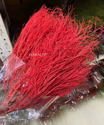 Preserved Dreamy Grass Flower-03