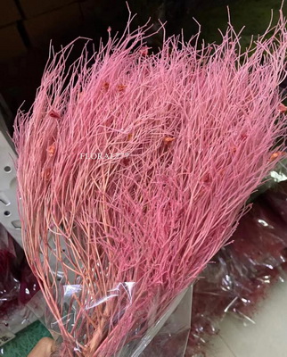 Preserved Dreamy Grass Flower-09