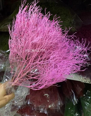 Preserved Dreamy Grass Flower-14