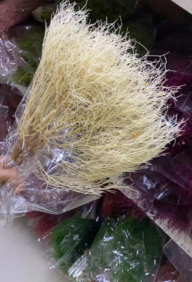 Preserved Dreamy Grass Flower-15