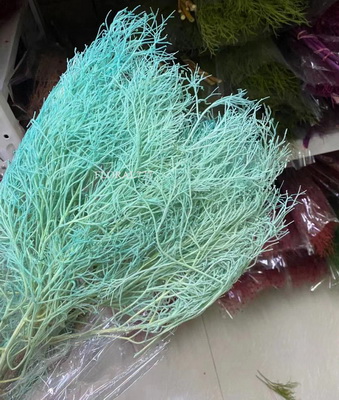 Preserved Dreamy Grass Flower-07