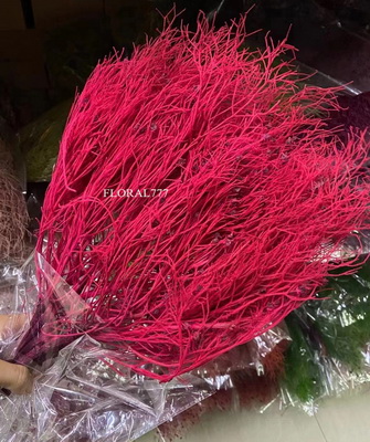 Preserved Dreamy Grass Flower-12