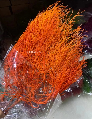 Preserved Dreamy Grass Flower-08